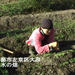 Vol.077 茶水（ちゃすい）