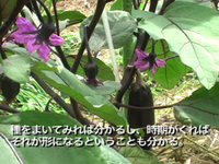 Vol.110 ハタケスクールin農園 杉・五兵衛
