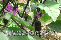 Vol.110